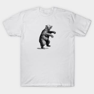 Bear T-Shirt